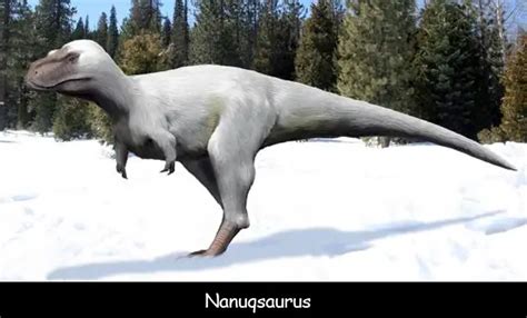 what does nanuqsaurus eat.